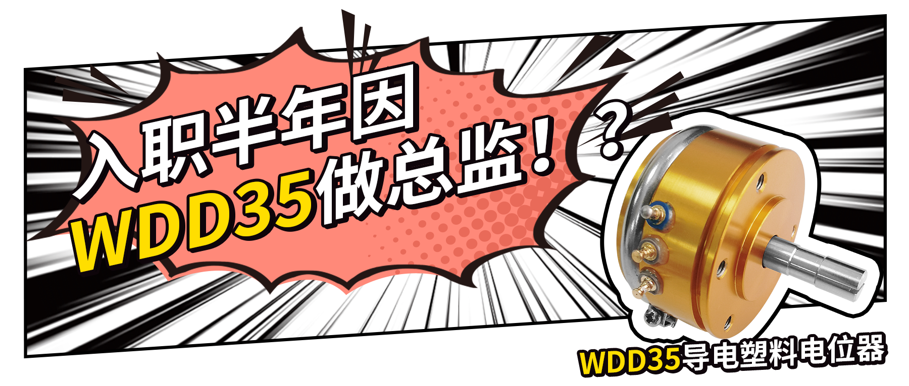 入職半年因WDD35做總監(jiān)？！